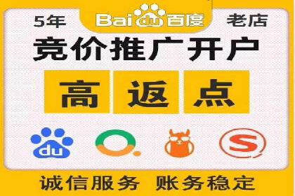 SEM代理案例：揭秘成功背后的秘密